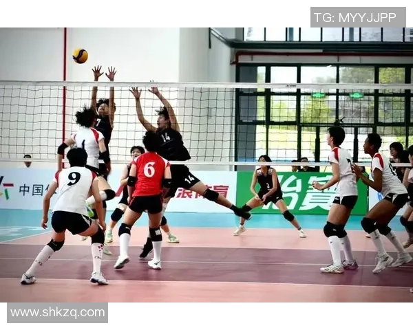赛后分析：上海排球队与重庆排球队的战术意识与表现对比