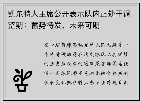 凯尔特人主席公开表示队内正处于调整期：蓄势待发，未来可期